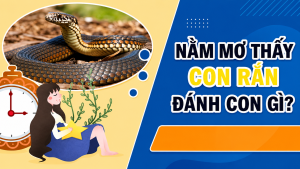 mo thay ran danh con gi