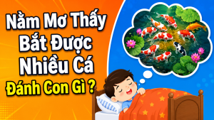 nam mo thay bat duoc nhieu ca danh con gi