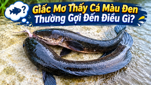 Giấc Mơ Thấy Cá Màu Đen Thường Gợi Đến Điều Gì?