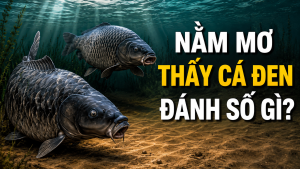nam mo thay ca den danh so gi