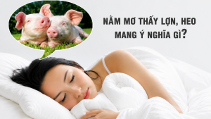 Giấc Mơ Thấy Heo Con Thường Mang Ý Nghĩa Gì?