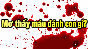nam mo thay mau danh so gi