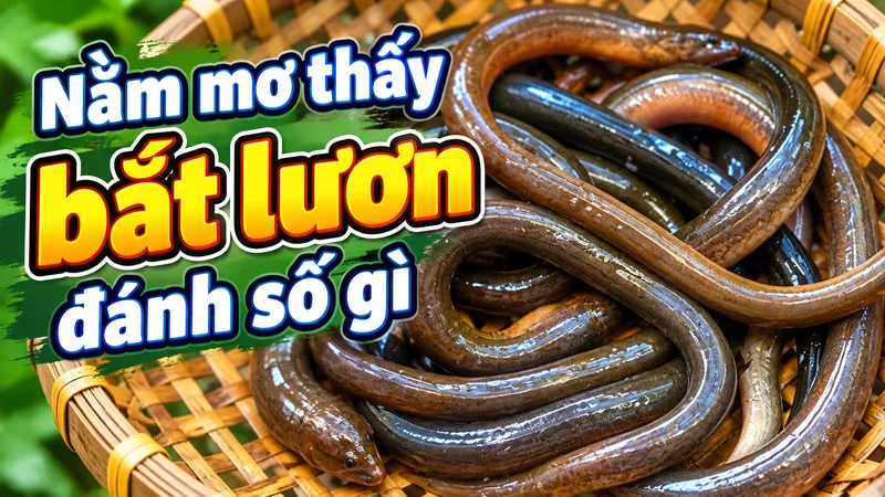 nam mo thay bat luon danh so gi