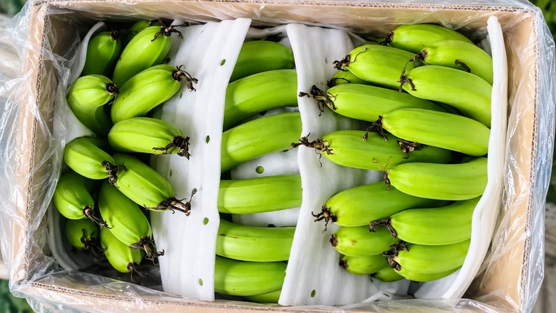 Mơ thấy buồng chuối xanh sai quả
