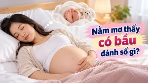 nam mo thay co bau danh so gi