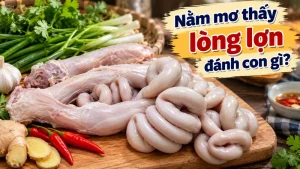 nam mo thay long lon danh con gi