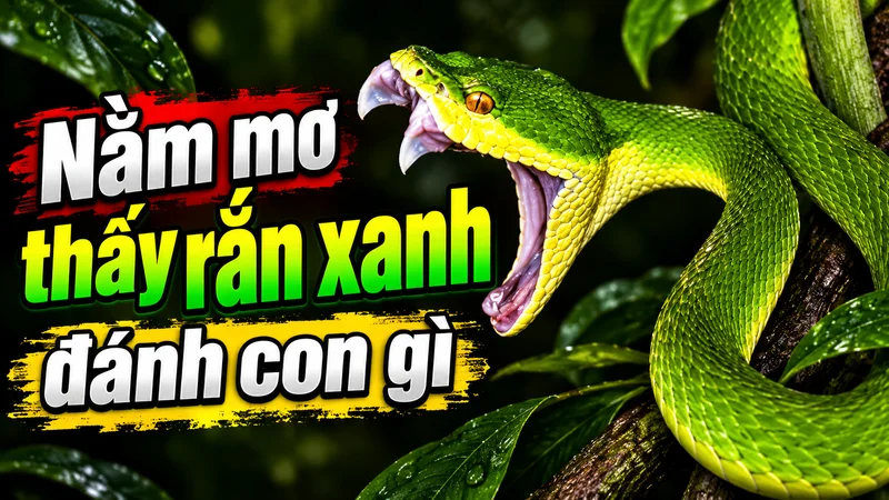 nam mo thay ran xanh danh con gi