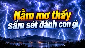 nam mo thay sam set danh con gi